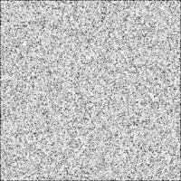 a black and white image of a square white noise texture vector