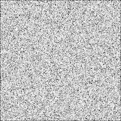 a black and white image of a square white noise texture