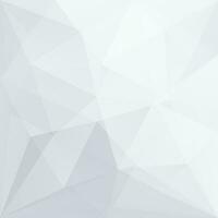 abstract white polygonal background vector