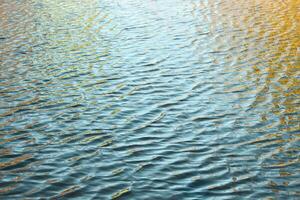 river surface texture, waves shining in the sun photo