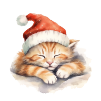 linda Navidad acuarela gato en un sombrero. png