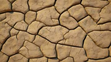 AI Generative dry and cracked sandy ground surface photo