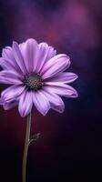 AI Generative purple flower with dark purple background photo