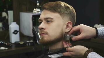 joven hermoso hombre consiguiendo su barba recortado por un profesional Barbero video