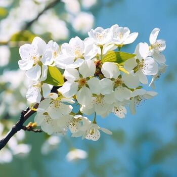 ai generativo blanco flores florecer foto