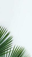 AI Generative palm leaves on a white background photo