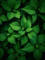 AI Generative green nature leaves photo
