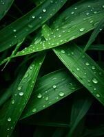 AI Generative grass plants raindrops dew photo