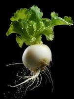 AI Generative a photo of turnip