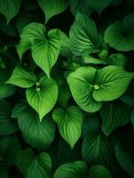 AI Generative green nature leaves photo