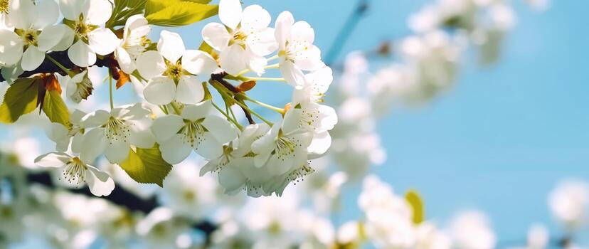ai generativo blanco flores florecer foto