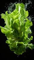 AI Generative a photo of lettuce