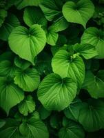 AI Generative green nature leaves photo