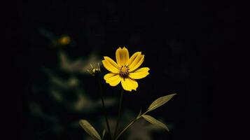 ai generativo soltero amarillo flor en un oscuro foto