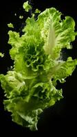 AI Generative a photo of lettuce