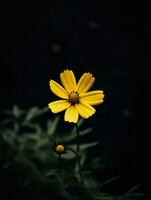 ai generativo soltero amarillo flor en un oscuro foto