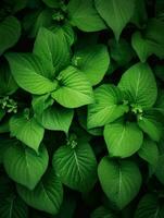 AI Generative green nature leaves photo