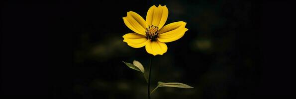 ai generativo soltero amarillo flor en un oscuro foto