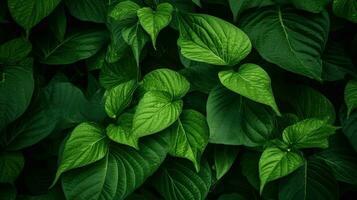 AI Generative green nature leaves photo