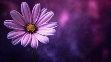 AI Generative purple flower with dark purple background photo