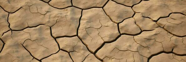 AI Generative dry and cracked sandy ground surface photo