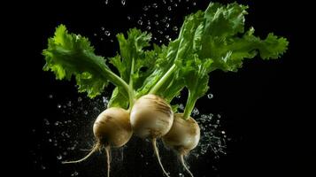 AI Generative a photo of turnip