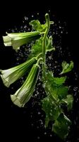 AI Generative a photo of okra