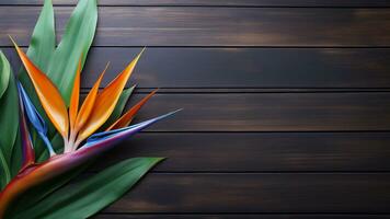Bird of Paradise Flower on Wood Background with Copy Space, AI Generative photo
