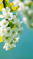 AI Generative white flowers blossom photo