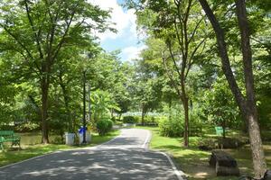 Trees beauty nature and walkway in garden Thailand photo