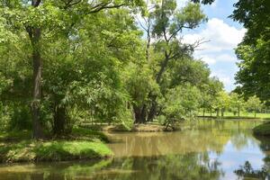 lake and green trees beauty nature in garden Thailand photo