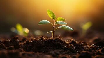 foto verde planta planta de semillero ilustrando concepto de nuevo vida y ambiental conservación. con Dom ligero generativo ai