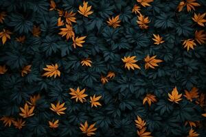 Black Colorful Leaves Background, Leaves Background, Leaves Wallpaper, Leaves Pattern, Fallen leaves Background, Colorful Leaves Background, AI Generative photo