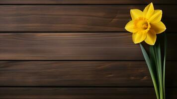 Daffodil Narcissus Flower on Wood Background with Copy Space, AI Generative photo
