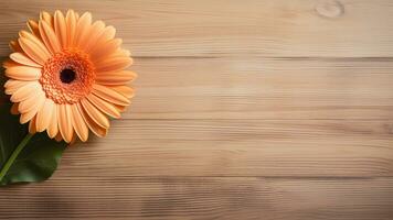 Gerbera Daisy Flower on Wood Background with Copy Space, AI Generative photo