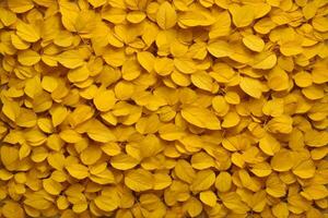 Yellow Leaves Background, Leaves Background, Leaves Wallpaper, Leaves Pattern, Fallen leaves Background, Colorful Leaves Background, AI Generative photo