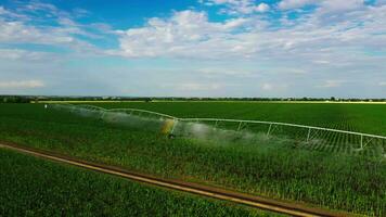 Landwirtschaft Bewässerung von Bauernhof Feld. automatisch künstlich Bewässerung von das Feld zum gut Ernte. Clever Landwirtschaft Öko Landwirtschaft Konzept künstlich Intelligenz video