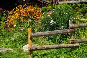 french alps landscape photo