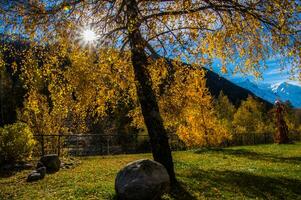 landscape of the french alps in autumn photo