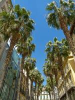 the city of Malaga in spain photo