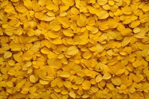 Yellow Leaves Background, Leaves Background, Leaves Wallpaper, Leaves Pattern, Fallen leaves Background, Colorful Leaves Background, AI Generative photo