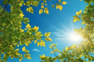 leaves against blue sky with bright sunshine, sunny sky background, sun and leaves wallpaper, natural background, AI Generative photo