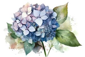 Watercolor hydrangea, lilac, hortensia on a white background. AI generated illustration. photo