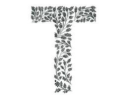 botánico decorativo ilustración, garabatear ramita con hojas. capital letra t de el latín alfabeto. vector