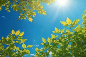 hojas en contra azul cielo con brillante luz solar, soleado cielo fondo, Dom y hojas fondo de pantalla, natural fondo, ai generativo foto