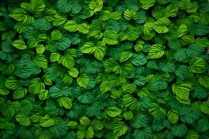 verde hojas fondo, naturaleza hojas fondo de pantalla, hojas fondo, hojas fondo de pantalla, ai generativo foto