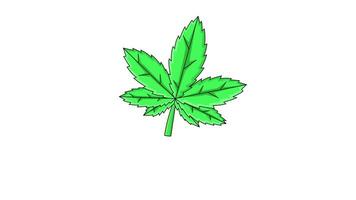 Animé vidéo de le marijuana feuille icône video