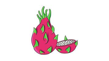 Animation forms a dragon fruit icon video