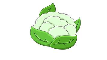 animated video of the cauliflower icon