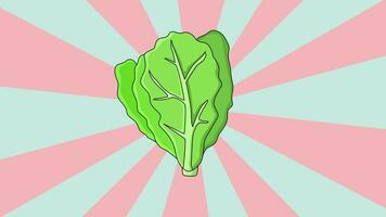 Animated lettuce leaf icon with a rotating background video